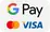Google Pay and Visa payment logos